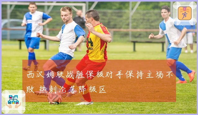 西汉姆联战胜保级对手保持主场不败 热刺沦落降级区