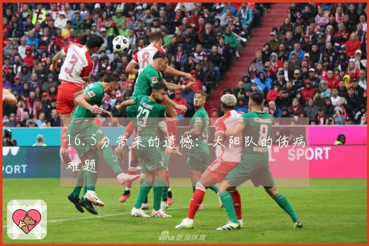 16.5分带来的遗憾：太阳队的伤病难题
