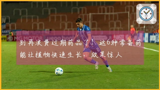 别再浪费过期药品了！这6种常备药能让植物快速生长，效果惊人